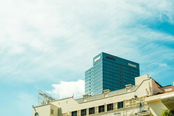 Découvrez les meilleurs outils de jardinage pour votre jardin